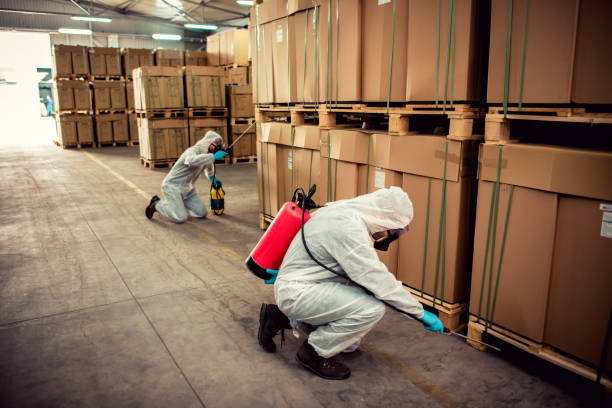 Best Best Pest Control Companies  in Phoenix, NY