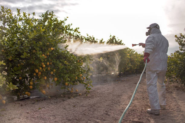Best Pest Prevention Services  in Phoenix, NY