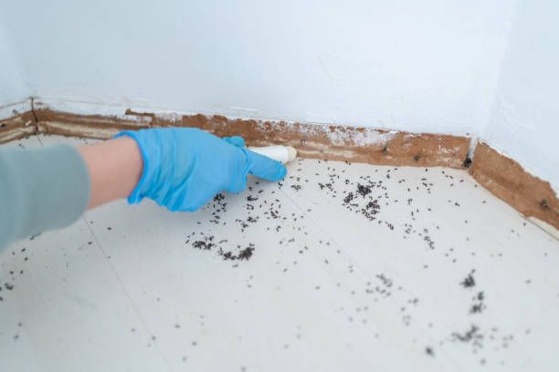Wildlife Control Services in Phoenix, NY